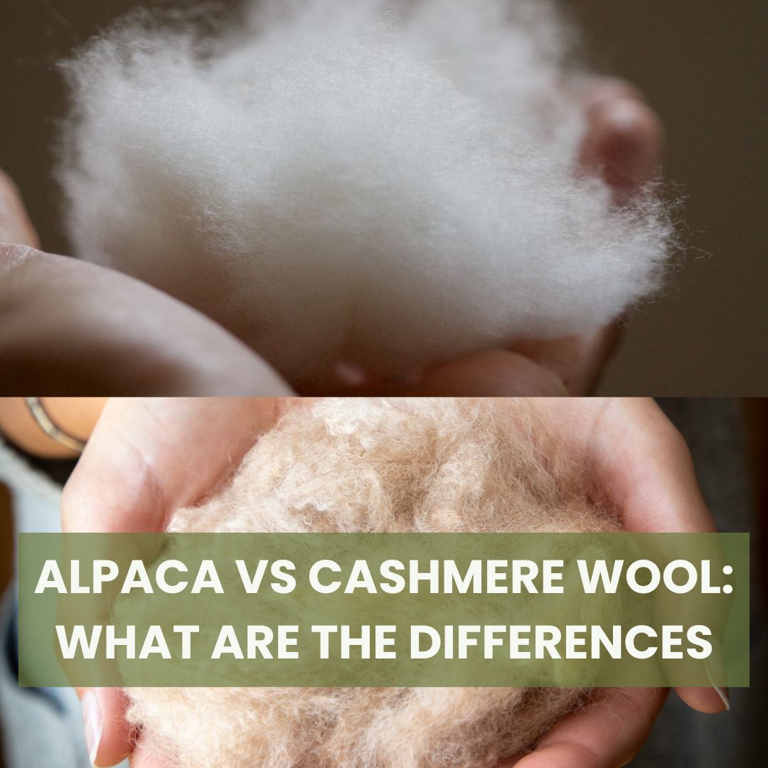 Alpaca Wool vs Cashmere Wool